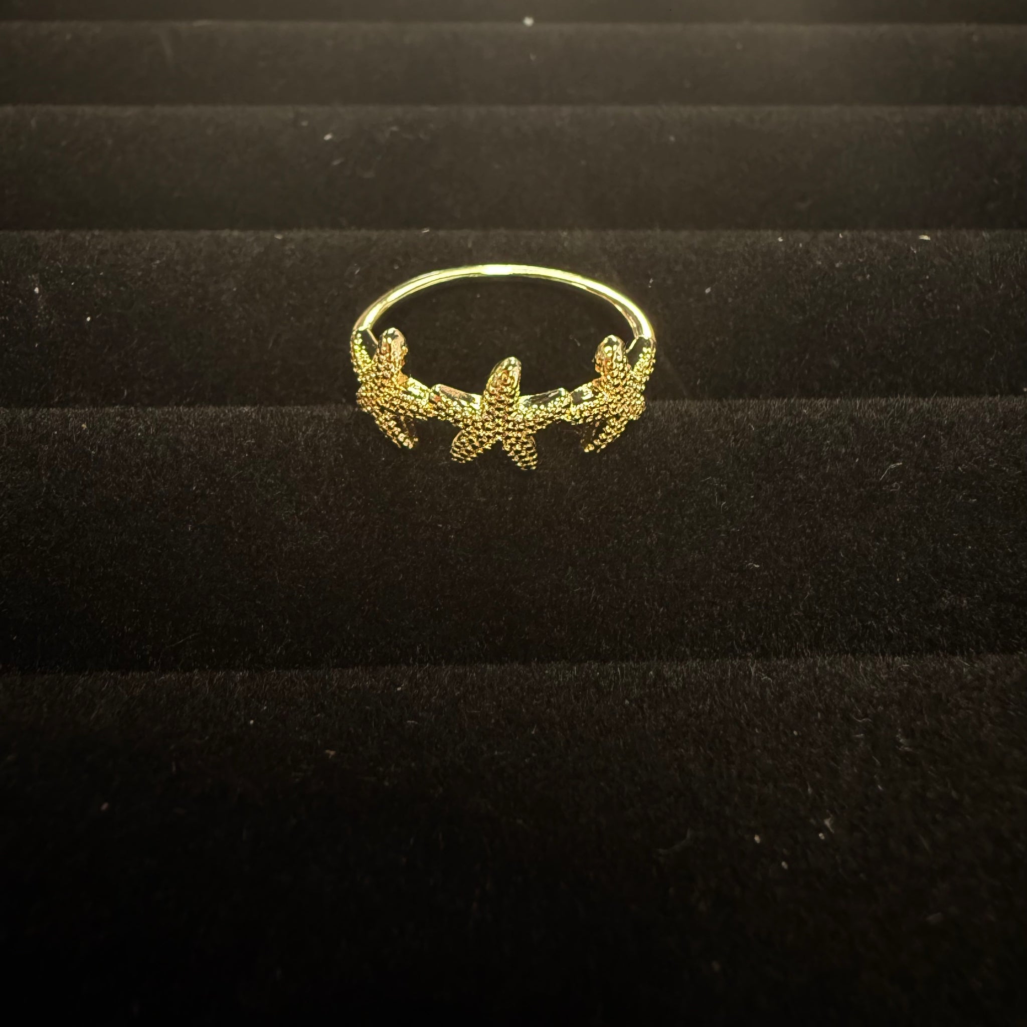 Shoreline Rings