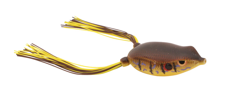 Bronzeye Frog65