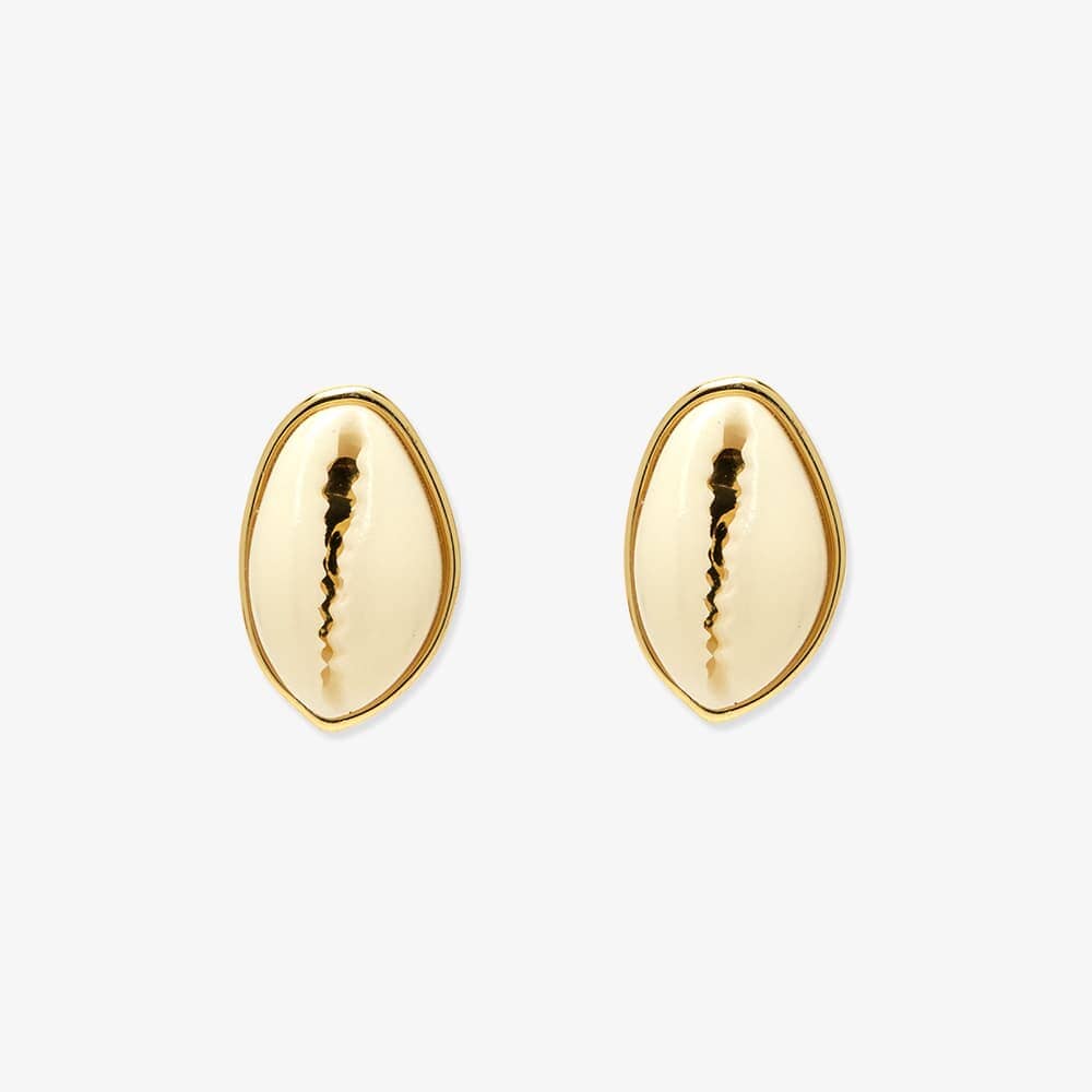 Simple Cowrie Stud Earrings