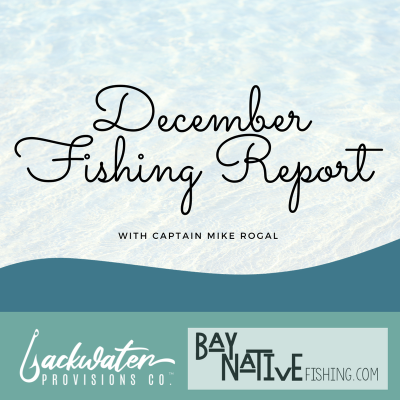 December Fishing Report