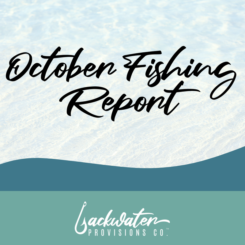 October 2024 Fishing Report