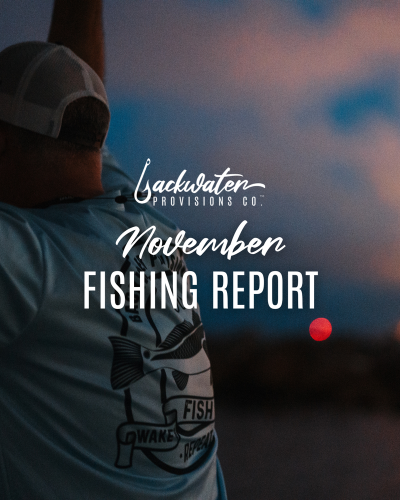 November 2025 Fishing Report