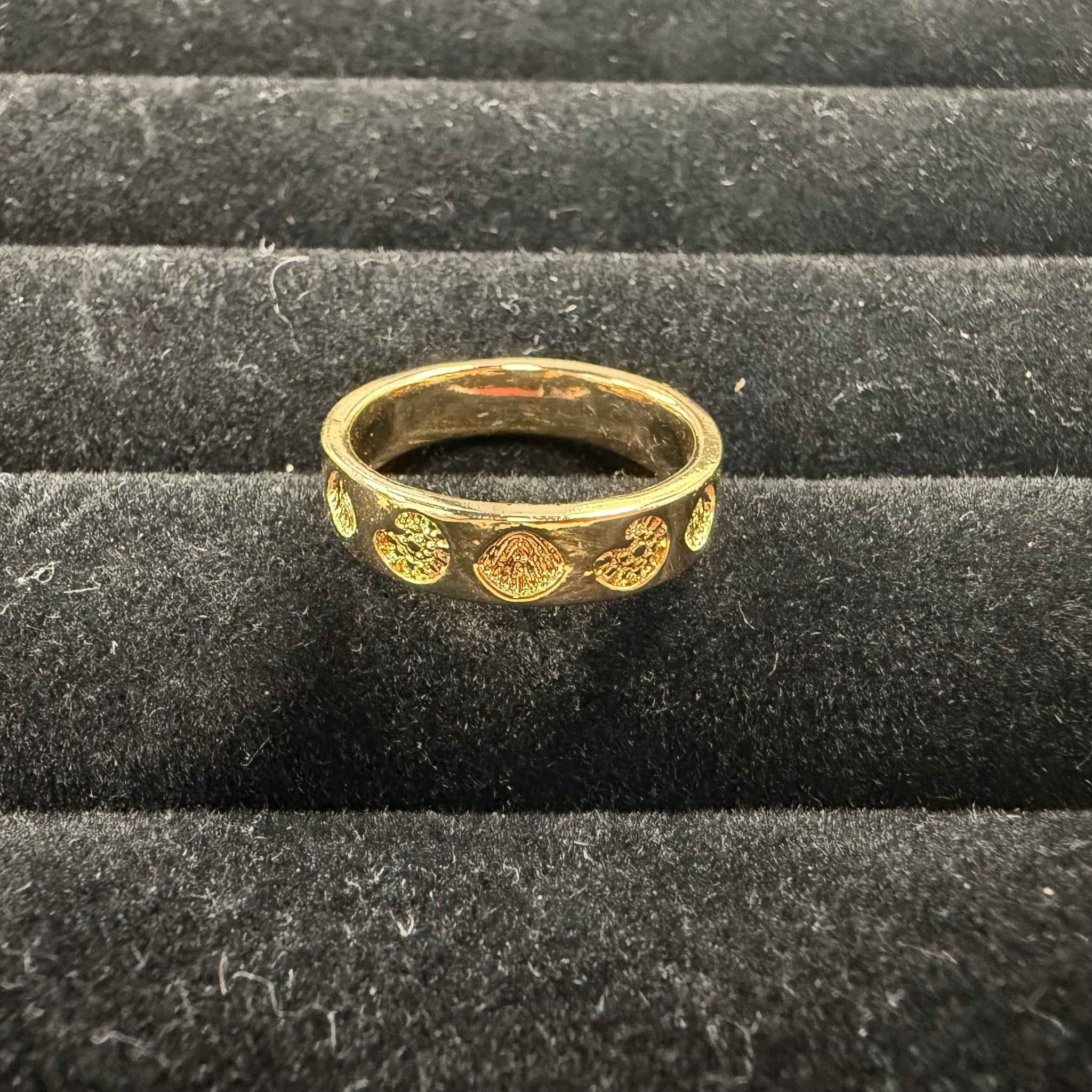 Shoreline Rings