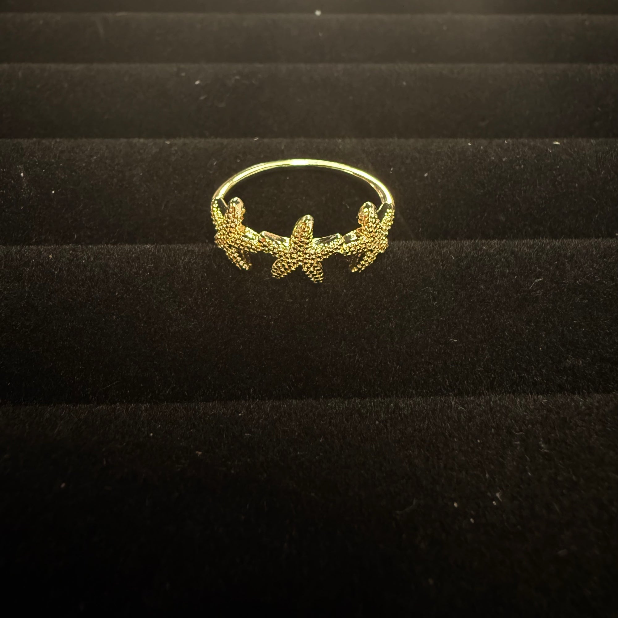 Shoreline Rings