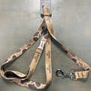 BPC Dog Leash