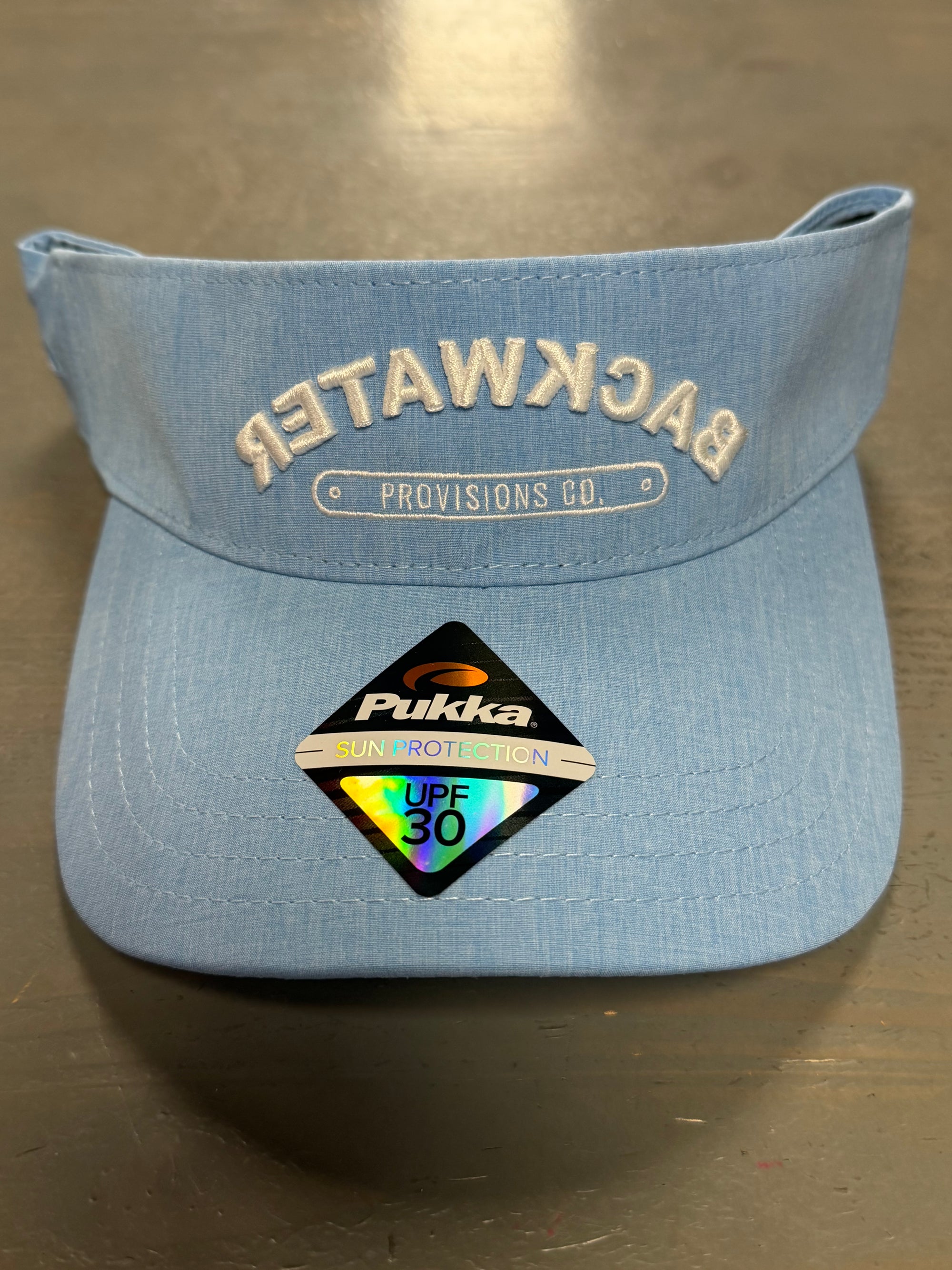 Backwards Logo Visor