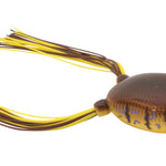 Bronzeye Frog65