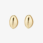 Simple Cowrie Stud Earrings